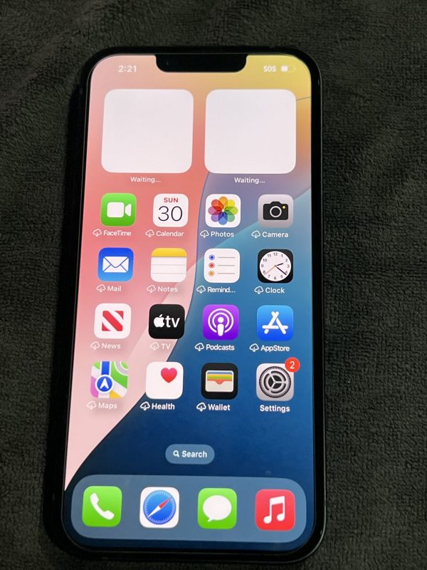 iPhone 13 Pro Max - Image 3
